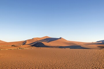 Panoramic picture of the red dunes of the Namib Desert in Namibia against a blue sky in the evening...