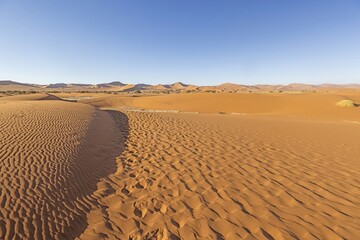 Panoramic picture of the red dunes of the Namib Desert in Namibia against a blue sky in the evening...