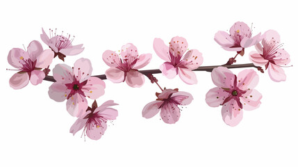 Cherry Flowers With Gradient Mesh Vector Illustration