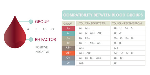 Rh and blood group and compatibility between them - obrazy, fototapety, plakaty