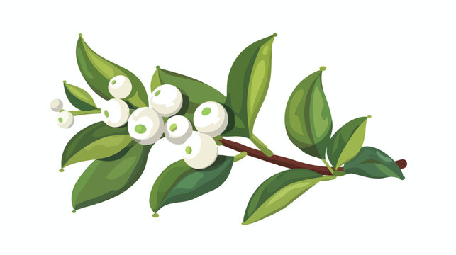 Christmas mistletoe. Holly berry symbol. Vector illustration