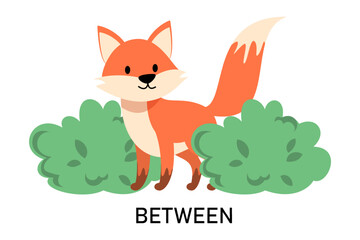 Learning English prepositions with a funny fox and green bush vector isolated. Animal character is standing between two green bushes. Cute red fox.