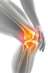 knee pain on bone with hand on perspective 3d rendering bakcground