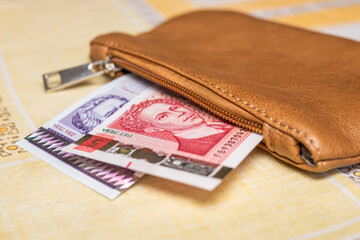 Women's purse with small banknotes spilled out. Financial concept, Bulgaria money, Bulgarian lev, home budget