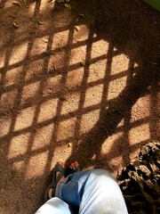 The elongated shadows of a couple cast on the sunlit pavement in a square, capturing a moment of...