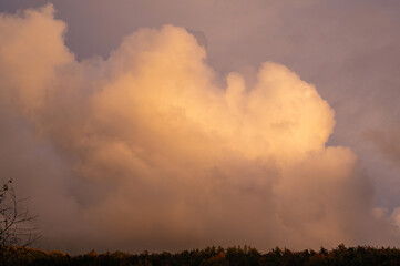 Big cloud in the evening light over green forest - 774810094