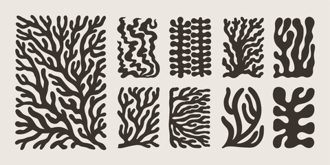 Matisse Coral Abstract Shape. Vector Poster Organic Art Poster. Modern Pattern Leaf. Modern Floral Prints in Contemporary Minimal Style. Trendy Boho Illustrations in Beige and Black Colors - 774810645
