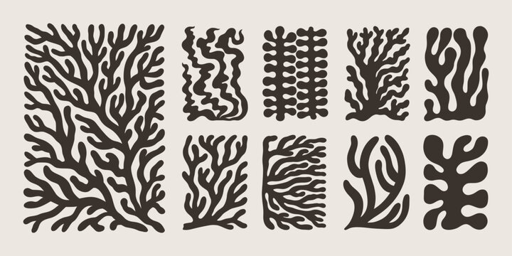 Matisse Coral Abstract Shape. Vector Poster Organic Art Poster. Modern Pattern Leaf. Modern Floral Prints in Contemporary Minimal Style. Trendy Boho Illustrations in Beige and Black Colors