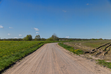 a wide sand road in the countryside in sunny weather