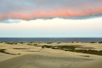 In the dunes of Maspalomas on Gran Canaria in Spain. View of the sea in the evening light with clouds and blue sky - 774811448