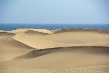 Sand dunes by the sea - 774811818