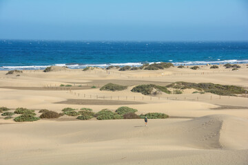 Sandy beach of Maspalomas with a view of the sea on Gran Canaria in Spain - 774811860