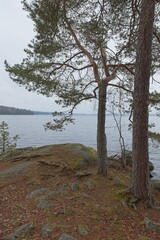 Rocky lake shore view of Hopeaselkä lake in autumn, Asikkala, Finland.