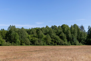 a field with grass for use in animal husbandry