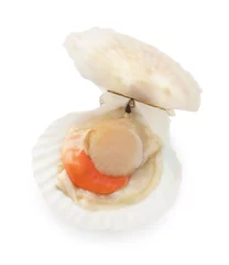 Poster Fresh raw scallop with shell isolated on white © New Africa