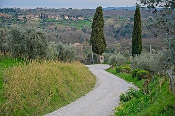 Country Road in Umbria, Italy March 2024