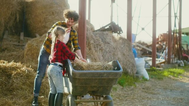Father and little daughter working together on their ranch, picks up a hay bale from a haystack and puts it in a wheelbarrow and pushing to feed the horses