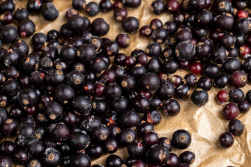 fresh frozen currants for long-term storage