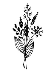 Hand drawn vector illustration with black outline. Bouquet of wild flowers isolated on white background. Holiday, birthday. A simple ink sketch.