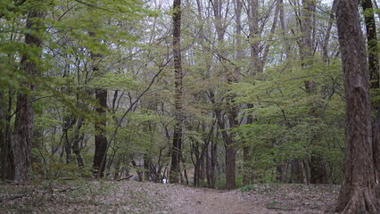 숲속
