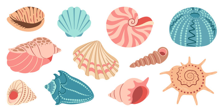 Sea shell cartoon set. Ocean exotic underwater seashell conch aquatic mollusk, sea spiral snail collection. Tropical beach shells. Modern flat style isolated on white background. Vector illustration 