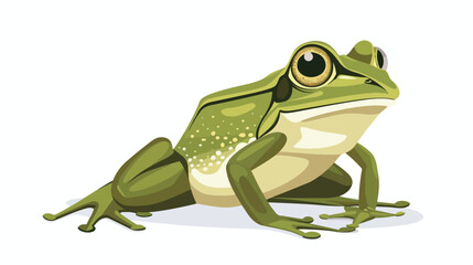 Green frog vector illustration flat vector isolated
