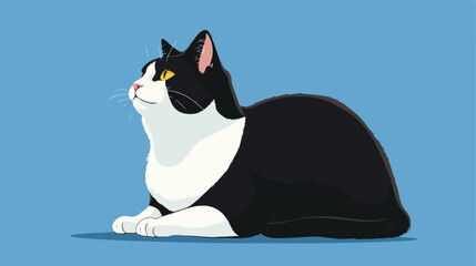 Raster illustration of the black and white cat