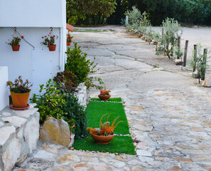 A small piece of grass has been created by the wall of the house in the yard and various pots with...