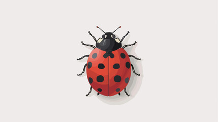 Ladybug presenting on white background 