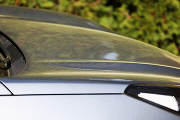 Wiosenne pyłki na szybie samochodu. Alergia - obrazy, fototapety, plakaty