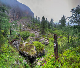 The Berchtesgaden green walking paths during spring with fog and dark cloud weather conditions