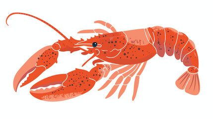 Lobster illustration flat vector isolated on white