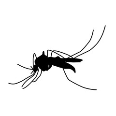 Mosquito silhouette