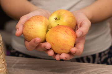 Hands Picking a Fresh Apple. Female hands holding fresh ripe apple.