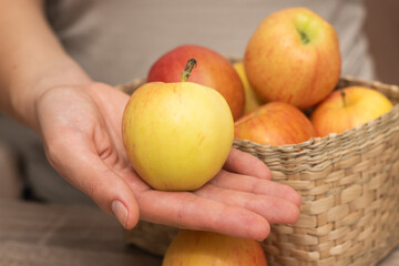 Basket of Fresh Apples in Female Hands. Close-up of hands holding a basket full of ripe apples.
