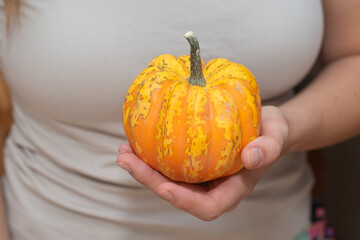 Hand Holding a Small Pumpkin. Cradling a vibrant orange and yellow patterned pumpkin.