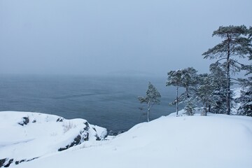 Rocky landscape view with pine trees in winter with snow on the ground and cloudy winter weather, Porkkalanniemi, Kirkkonummi, Finland.