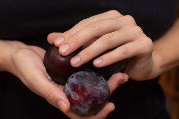 Female Hands Holding Fresh Plum. Hands gently cradling ripe purple plum.