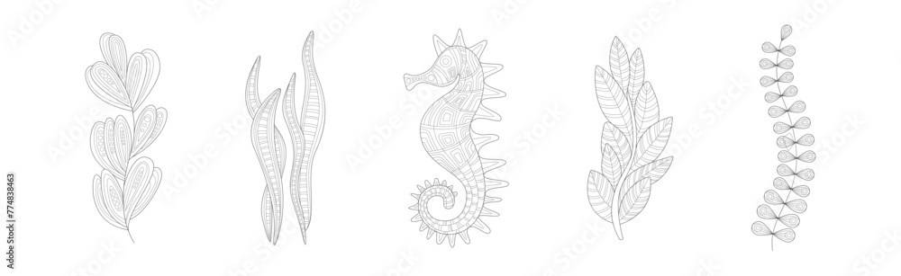 Poster underwater nature zentangle coloring book object vector set