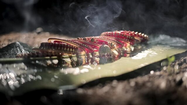 "Watch the mesmerizing video of a bride's bangles delicately resting on a leaf while water drops girth along them. This serene imagery captures the beauty of nature