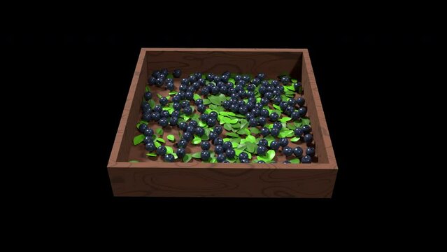 3D blueberry animation. Blueberry with leaves animation. Fruit and healthy food concept. Transparent background with alpha channel