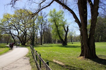 path in the park
