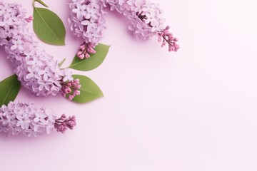 Delicate purple lilacs arranged in a heart shape on a soft pink background, a tender expression of spring and affection.