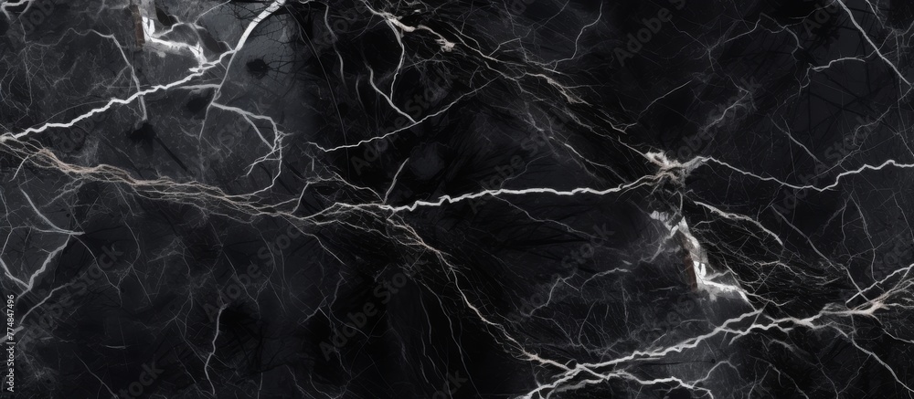 Poster a polished black marble featuring distinct white streaks running through its surface, creating an el