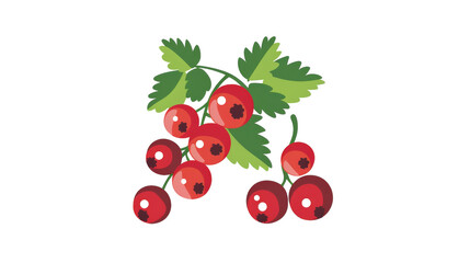 Red Currant Fruit vector on transparent background.