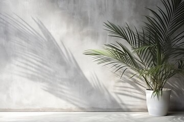 Tropical background. A potted palm tree against a gray wall. Minimalistic home interior or design. Copy space. 