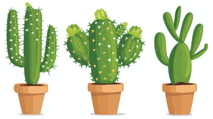 Cactus vector illustration flat vector isolated on white