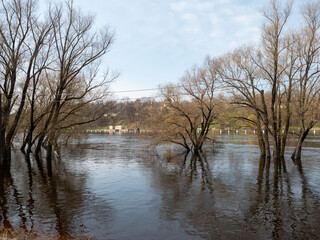 flooded city park in early spring with trees and blue sky