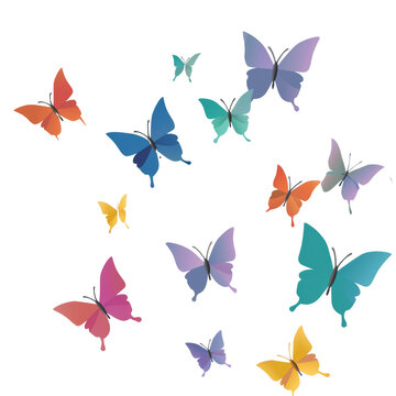 set of butterflies On a transparent background