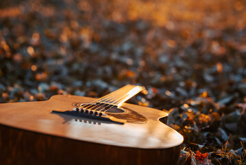 Close up of guitar laying on the ground on dry foliage under the golden sun rays. Concept of having...